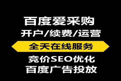 网站sem托管服务提供商的成功案例分析